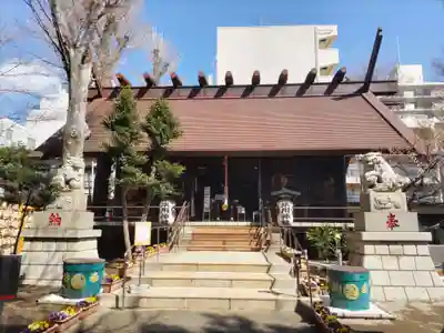 高円寺氷川神社の本殿・本堂