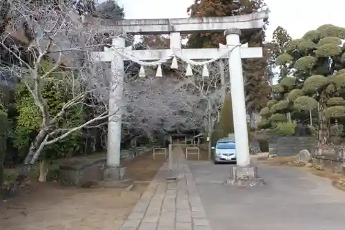 松山神社の鳥居