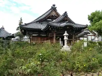 おふさ観音(観音寺)の本殿・本堂