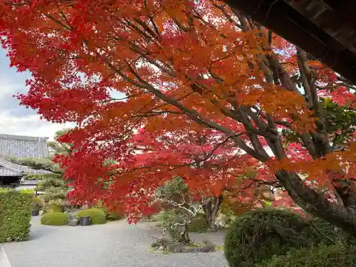 神光院(京都府)