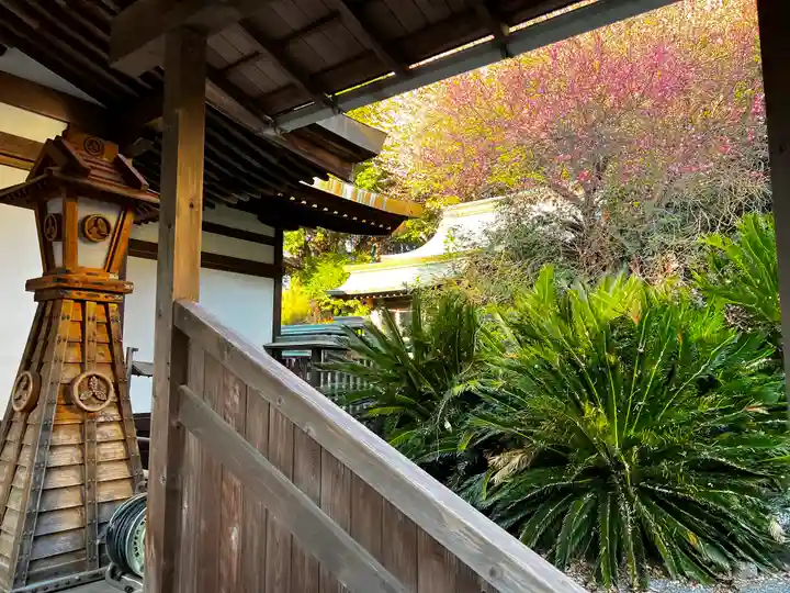 龍尾神社のその他建物