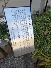 川越八幡宮(埼玉県)