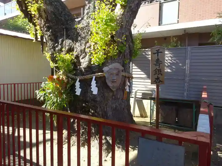 押切稲荷神社の自然