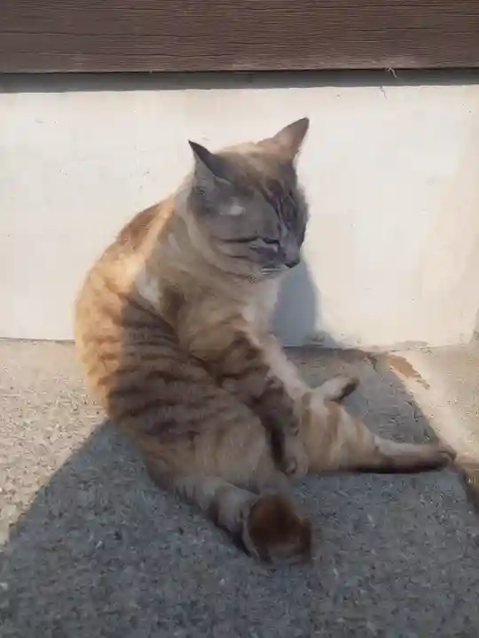 南洲神社(鹿児島県)
