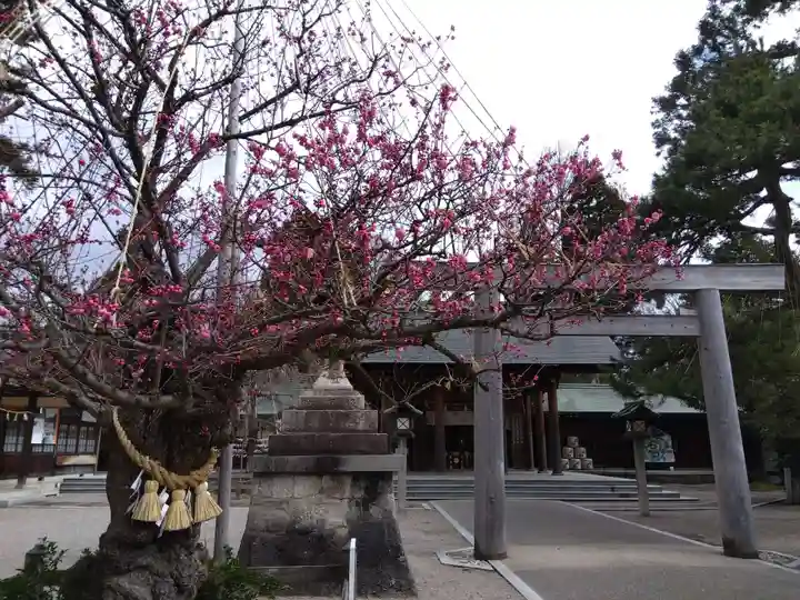 射水神社の自然