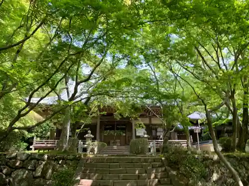 勝持寺（花の寺）(京都府)