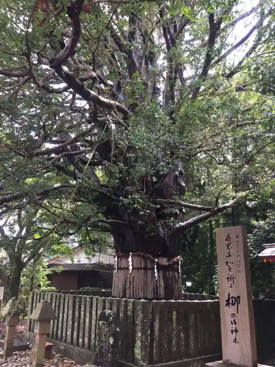 熊野速玉大社(和歌山県)