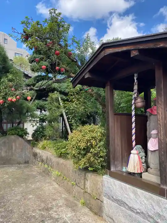 龍泉院(東京都)