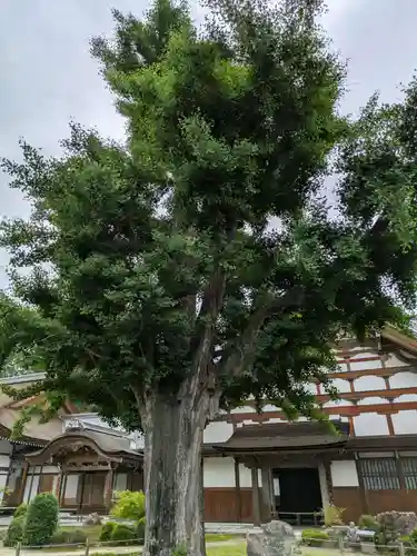 永保寺(岐阜県)