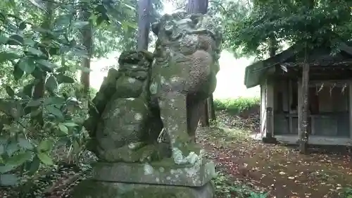 麻氐良布神社　下宮の狛犬