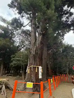 息栖神社(茨城県)