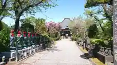 禅養寺の建物その他