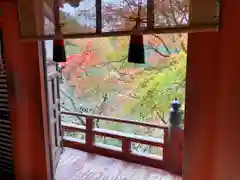 談山神社の自然