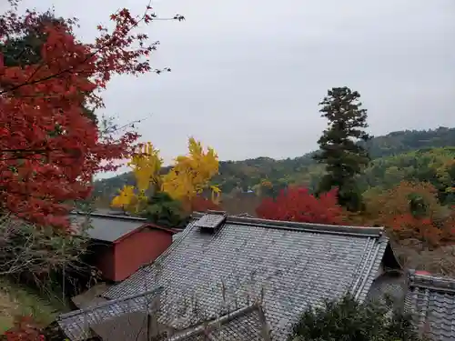 十輪寺の景色