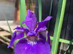 滑川神社 - 仕事と子どもの守り神の自然