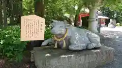 冨士御室浅間神社の狛犬