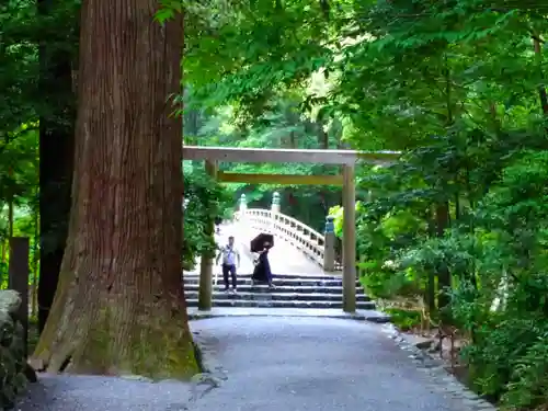 伊勢神宮内宮（皇大神宮）の鳥居