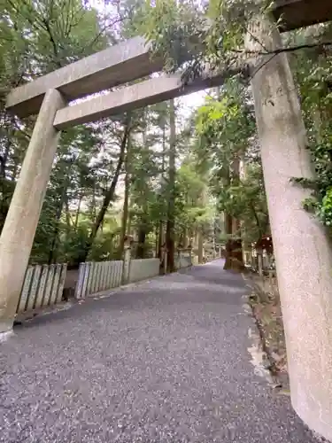 椿大神社の鳥居