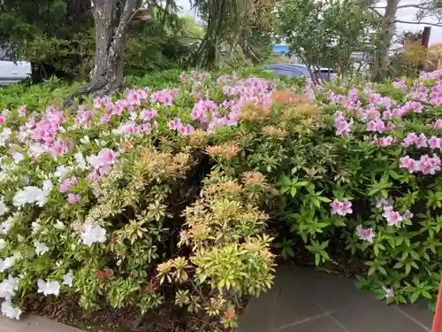 宝珠院の庭園