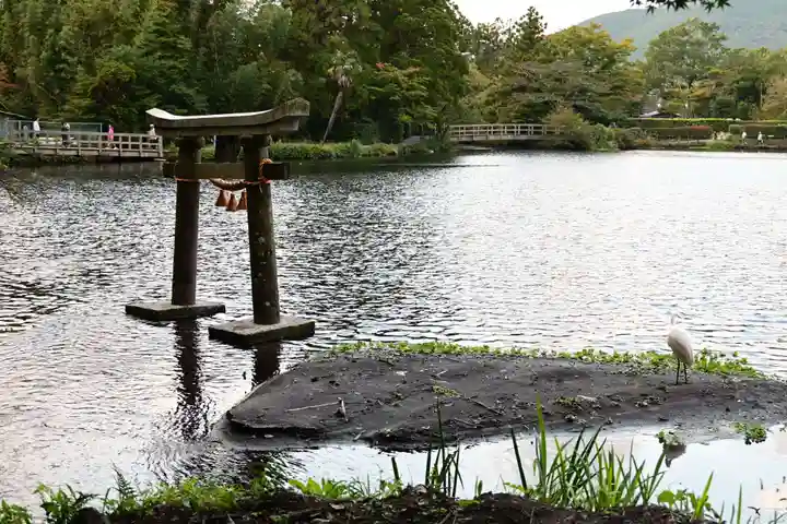 天祖神社(大分県)