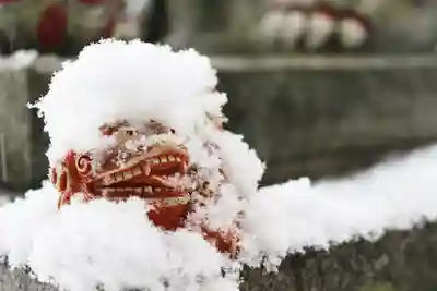 くまくま神社(導きの社 熊野町熊野神社)の狛犬