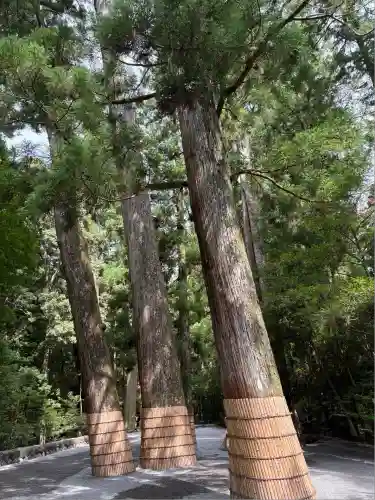 伊勢神宮内宮（皇大神宮）(三重県)