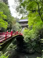 雲巌寺(栃木県)