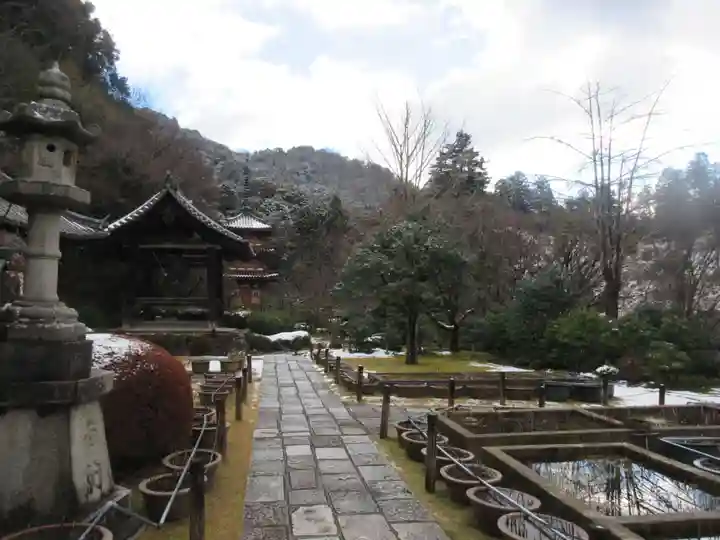 三室戸寺(京都府)