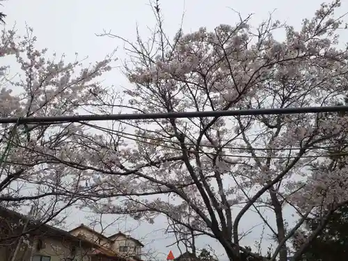 赤井八幡神社(宮城県)