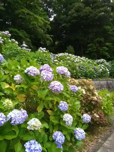 日運寺(千葉県)