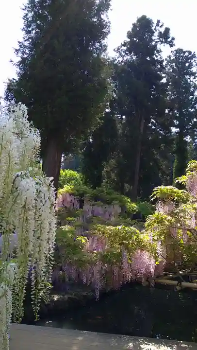 歌泉堂(春日大社神苑萬葉植物園内鎮座)(奈良県)