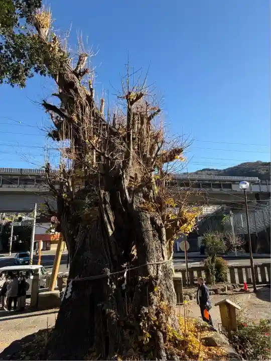 五所神社(神奈川県)
