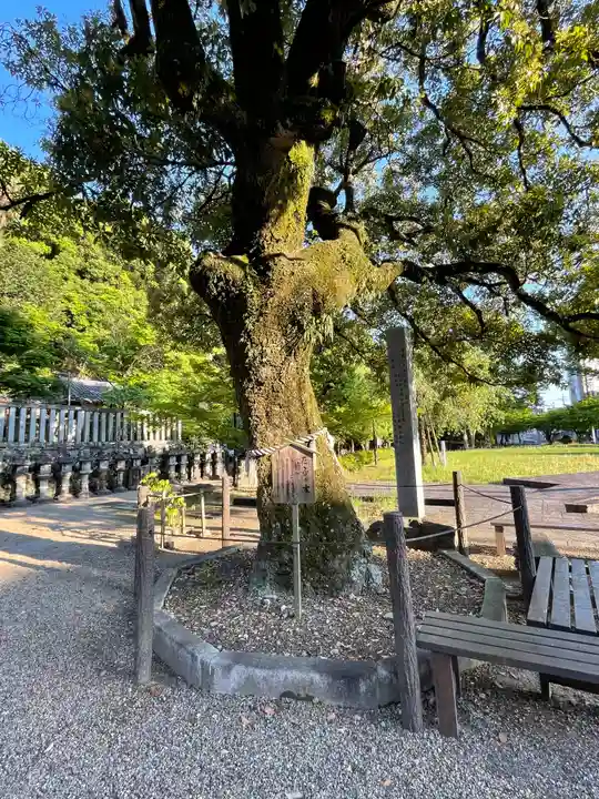 岐阜信長神社(橿森神社境内摂社)(岐阜県)