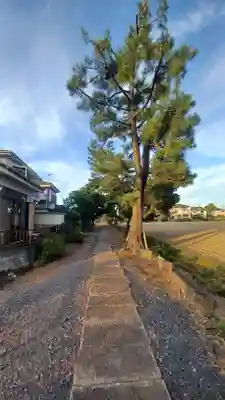 鷲宮神社(埼玉県)