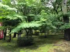 天徳院の景色