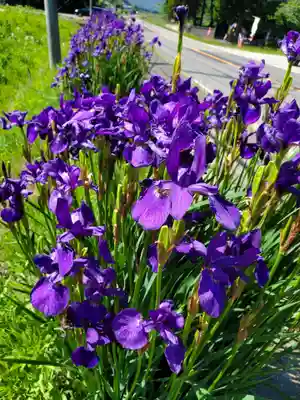 高司神社〜むすびの神の鎮まる社〜(福島県)
