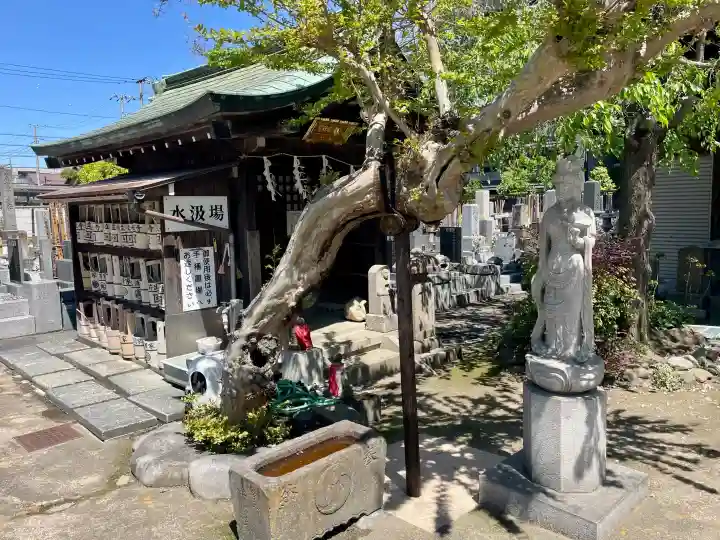 善立寺の{uncategorized: "未分類", other: "その他", undefined: "問題あり", building: "その他建物", grave: "お墓", sacred_gate: "鳥居", guardian: "狛犬", statue: "像", buddha: "仏像", history: "歴史", nature: "自然", garden: "庭園", animal: "動物", pagoda: "塔", temizu: "手水舎", mountain_gate: "山門・神門", sanctuary: "本殿・本堂", subordinate: "末社・摂社", art: "芸術", scenery: "景色", jizo: "地蔵", ema: "絵馬", goshuin: "御朱印", omikuji: "おみくじ", items: "授与品その他", amulet: "お守り", goshuincho: "御朱印帳", eats: "食事", festival: "お祭り", votive_dance: "神楽", shichigosan: "七五三参", wedding: "結婚式", experience: "体験その他", initially: "初詣", around: "周辺", anti_infection: "感染症対策"}