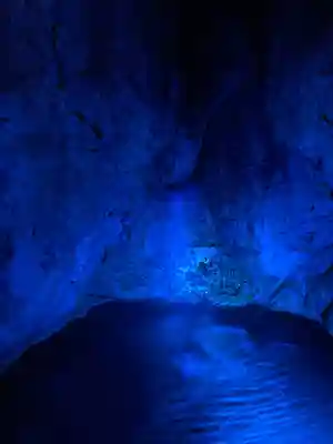 龍王神社の自然