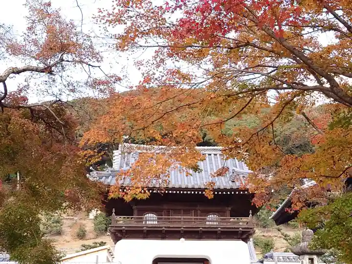 興聖寺(興聖寶林禅寺)(京都府)