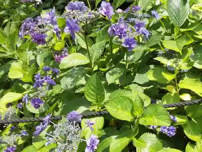 長谷寺(神奈川県)