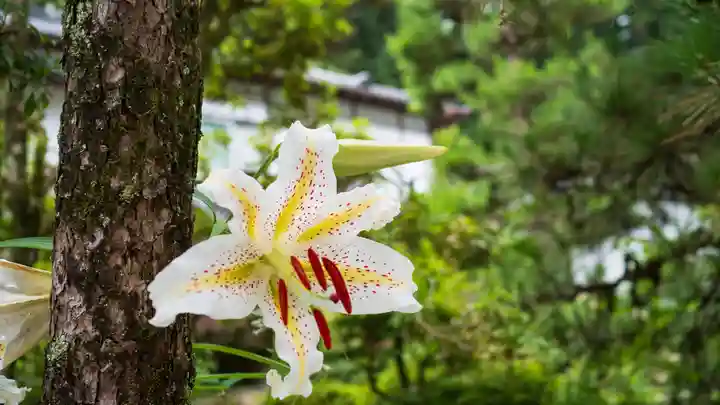 瑞鳳寺(宮城県)