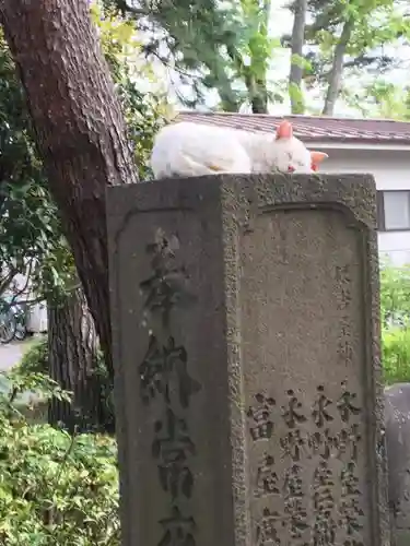 櫻岡大神宮の動物