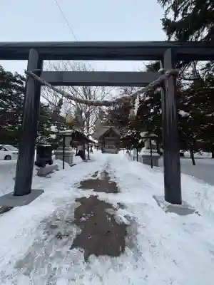 大麻神社の{uncategorized: "未分類", other: "その他", undefined: "問題あり", building: "その他建物", grave: "お墓", sacred_gate: "鳥居", guardian: "狛犬", statue: "像", buddha: "仏像", history: "歴史", nature: "自然", garden: "庭園", animal: "動物", pagoda: "塔", temizu: "手水舎", mountain_gate: "山門・神門", sanctuary: "本殿・本堂", subordinate: "末社・摂社", art: "芸術", scenery: "景色", jizo: "地蔵", ema: "絵馬", goshuin: "御朱印", omikuji: "おみくじ", items: "授与品その他", amulet: "お守り", goshuincho: "御朱印帳", eats: "食事", festival: "お祭り", votive_dance: "神楽", shichigosan: "七五三参", wedding: "結婚式", experience: "体験その他", initially: "初詣", around: "周辺", anti_infection: "感染症対策"}