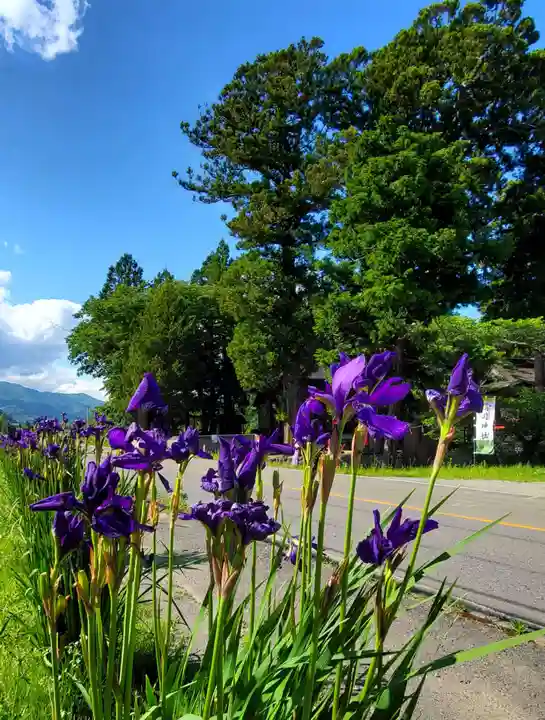 高司神社〜むすびの神の鎮まる社〜の自然