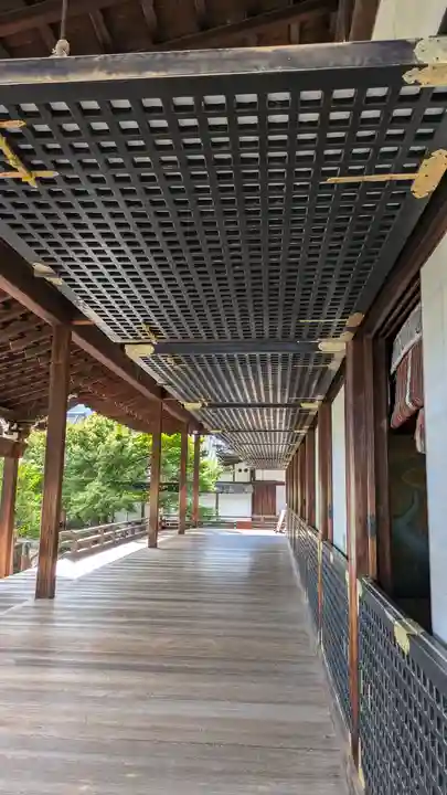 大覚寺(京都府)