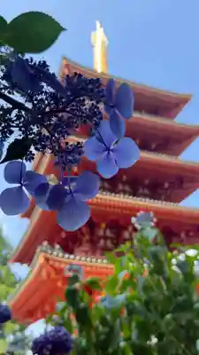 高幡不動尊　金剛寺(東京都)