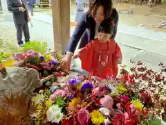 滑川神社 - 仕事と子どもの守り神の七五三参