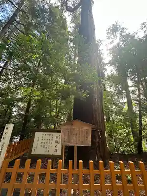 高千穂神社(宮崎県)
