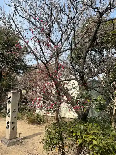 十二所神社(兵庫県)