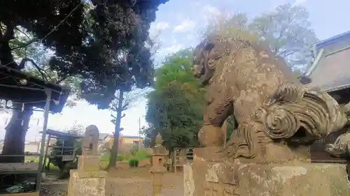 梅宮神社の狛犬